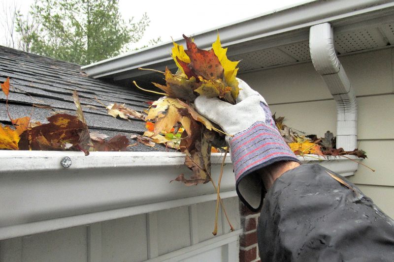 Spring Gutter Cover Service
